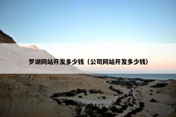 罗湖网站开发多少钱（公司网站开发多少钱）