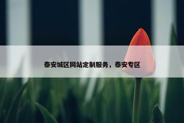 泰安城区网站定制服务，泰安专区
