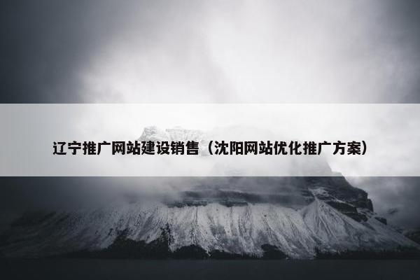 辽宁推广网站建设销售（沈阳网站优化推广方案）