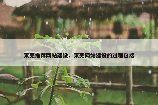 莱芜推荐网站建设，莱芜网站建设的过程包括