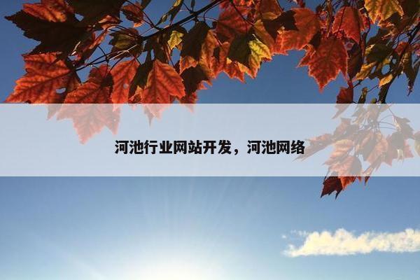 河池行业网站开发，河池网络