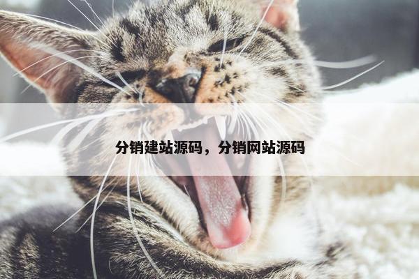 分销建站源码，分销网站源码