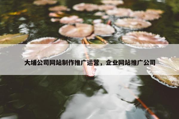 大埔公司网站制作推广运营，企业网站推广公司