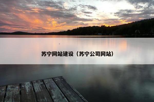 苏宁网站建设（苏宁公司网站）