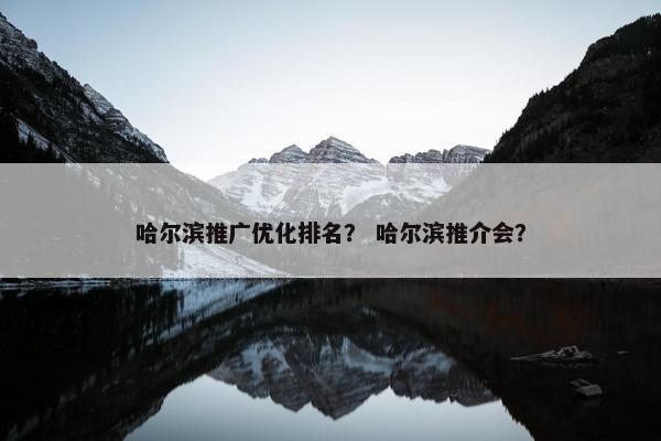 哈尔滨推广优化排名？ 哈尔滨推介会？