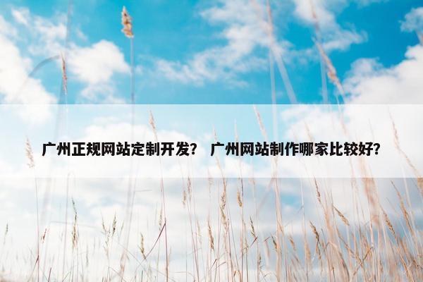广州正规网站定制开发？ 广州网站制作哪家比较好？