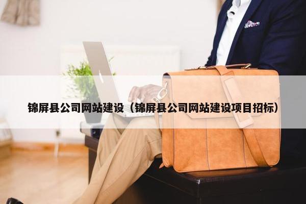锦屏县公司网站建设（锦屏县公司网站建设项目招标）