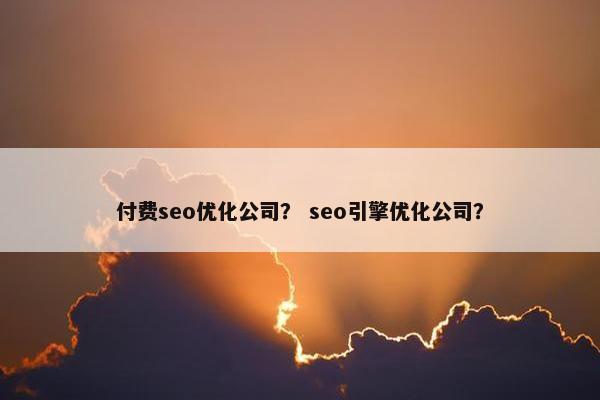 付费seo优化公司？ seo引擎优化公司？