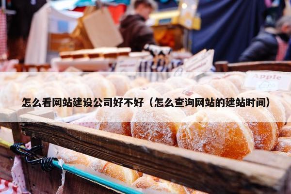 怎么看网站建设公司好不好（怎么查询网站的建站时间）