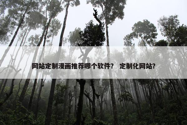 网站定制漫画推荐哪个软件？ 定制化网站？
