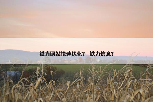 铁力网站快速优化？ 铁力信息？