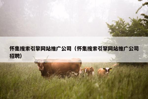 怀集搜索引擎网站推广公司（怀集搜索引擎网站推广公司招聘）