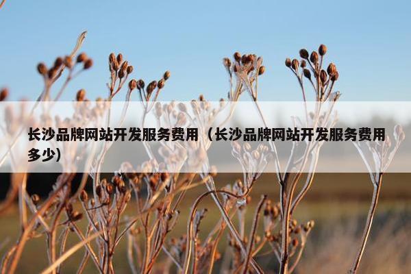 长沙品牌网站开发服务费用（长沙品牌网站开发服务费用多少）