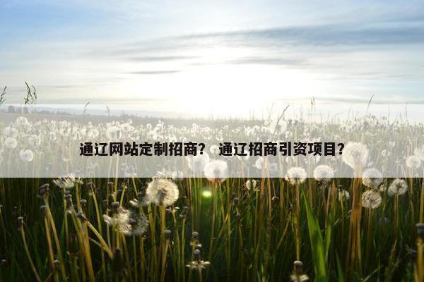 通辽网站定制招商？ 通辽招商引资项目？