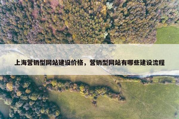 上海营销型网站建设价格，营销型网站有哪些建设流程