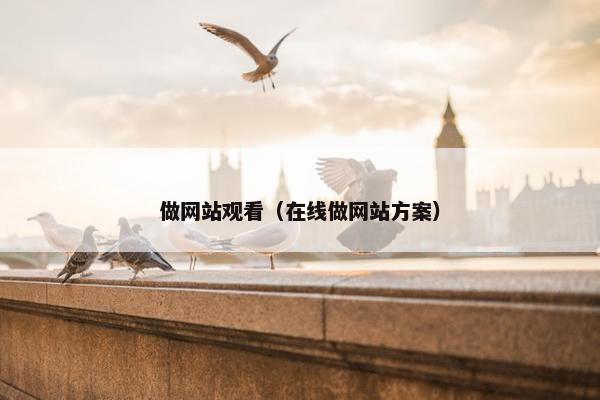 做网站观看（在线做网站方案）
