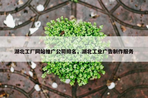 湖北工厂网站推广公司排名，湖北工业广告制作服务