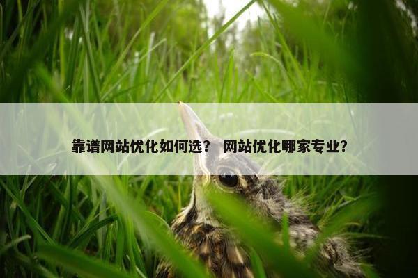 靠谱网站优化如何选？ 网站优化哪家专业？