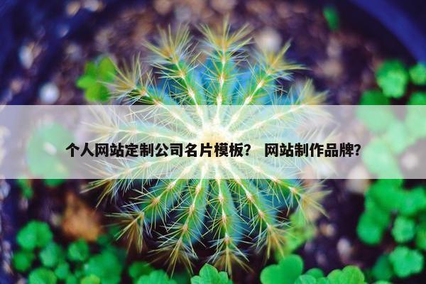 个人网站定制公司名片模板？ 网站制作品牌？