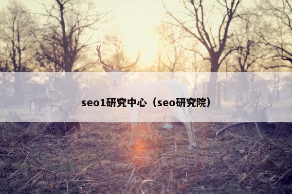 seo1研究中心（seo研究院）