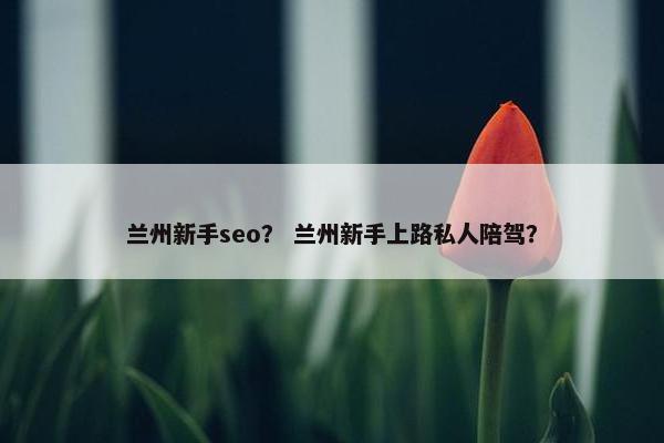 兰州新手seo？ 兰州新手上路私人陪驾？