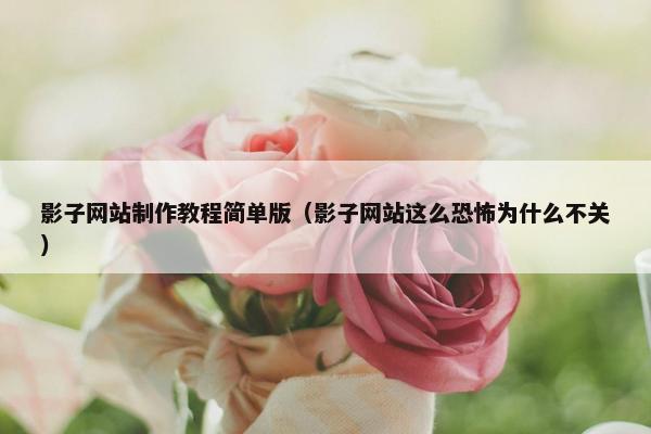 影子网站制作教程简单版（影子网站这么恐怖为什么不关）