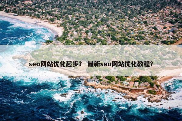 seo网站优化起步？ 最新seo网站优化教程？