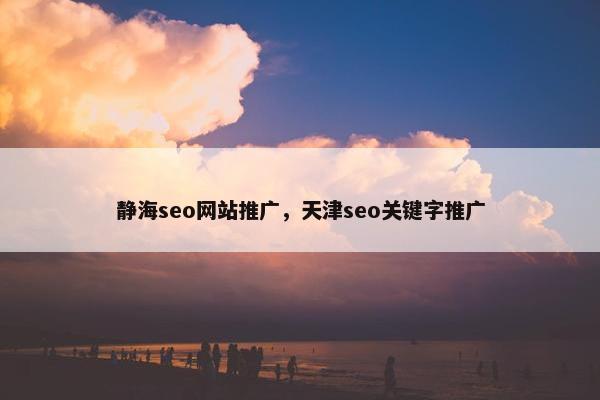 静海seo网站推广，天津seo关键字推广