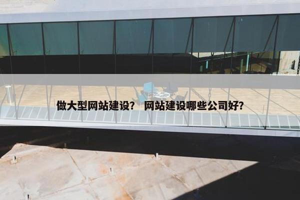 做大型网站建设？ 网站建设哪些公司好？