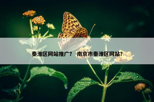 秦淮区网站推广？ 南京市秦淮区网站？
