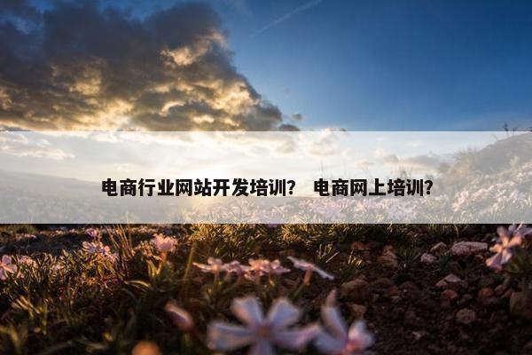 电商行业网站开发培训？ 电商网上培训？