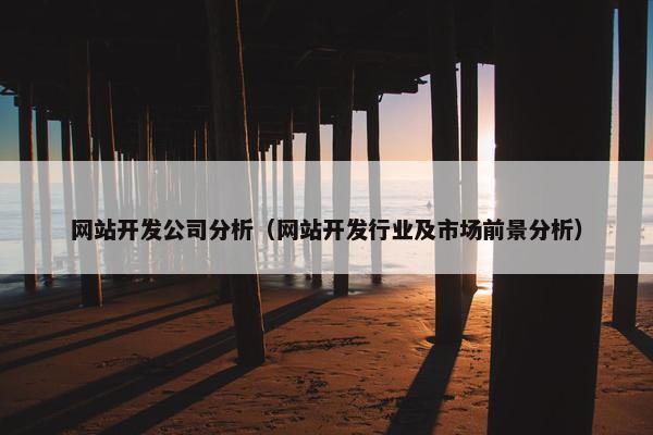 网站开发公司分析（网站开发行业及市场前景分析）