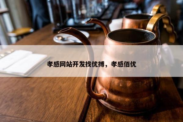 孝感网站开发找优搏，孝感佰优