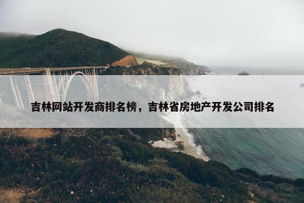 吉林网站开发商排名榜，吉林省房地产开发公司排名
