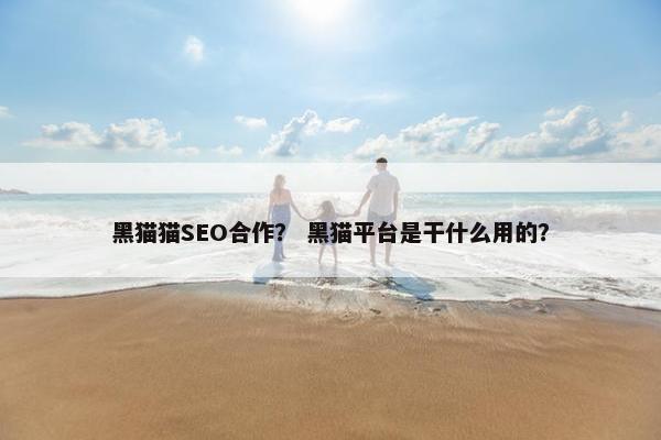 黑猫猫SEO合作？ 黑猫平台是干什么用的？