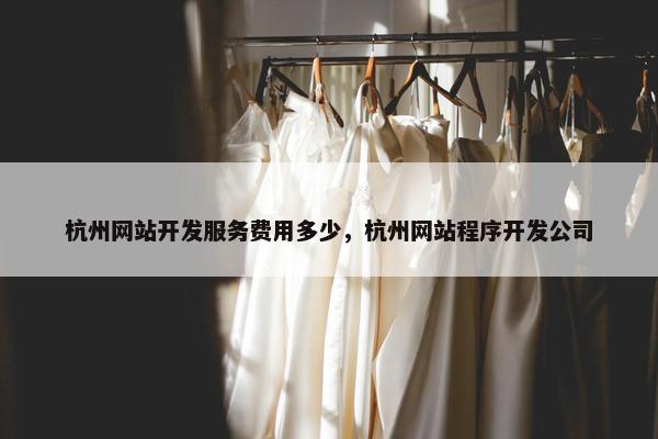 杭州网站开发服务费用多少，杭州网站程序开发公司