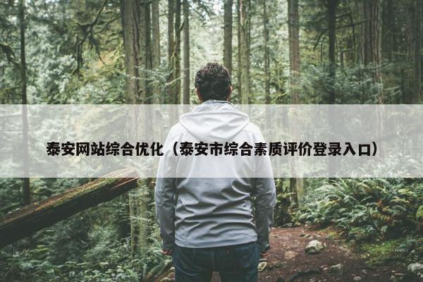 泰安网站综合优化（泰安市综合素质评价登录入口）