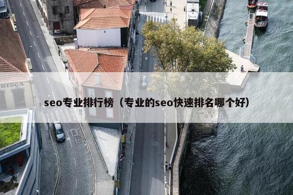 seo专业排行榜（专业的seo快速排名哪个好）
