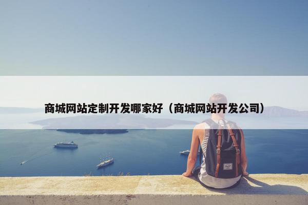 商城网站定制开发哪家好（商城网站开发公司）