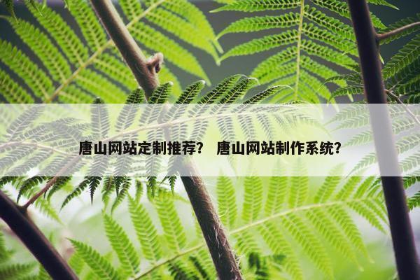 唐山网站定制推荐？ 唐山网站制作系统？