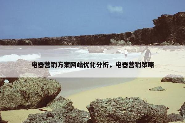 电器营销方案网站优化分析，电器营销策略
