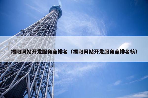 揭阳网站开发服务商排名（揭阳网站开发服务商排名榜）