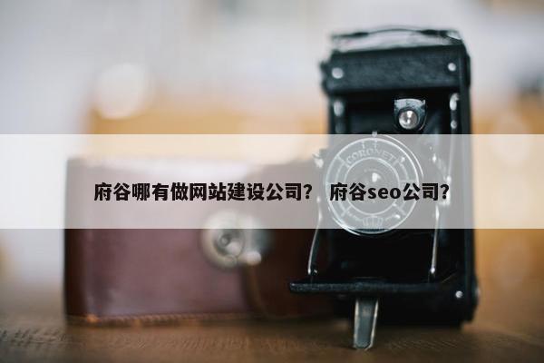 府谷哪有做网站建设公司？ 府谷seo公司？