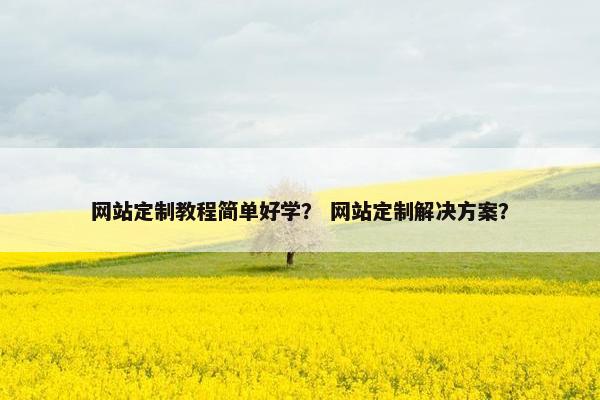 网站定制教程简单好学？ 网站定制解决方案？