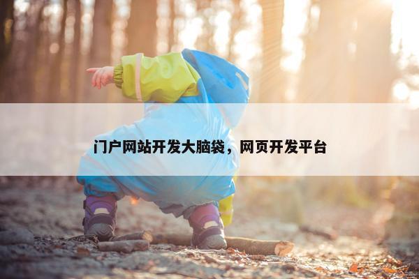 门户网站开发大脑袋，网页开发平台