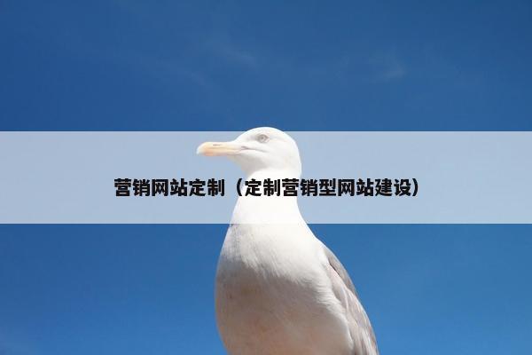 营销网站定制（定制营销型网站建设）