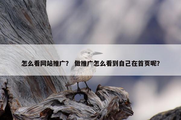 怎么看网站推广？ 做推广怎么看到自己在首页呢？