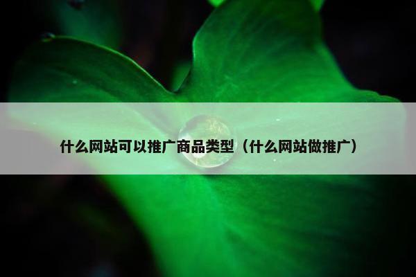 什么网站可以推广商品类型（什么网站做推广）