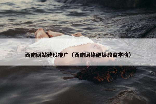 西南网站建设推广（西南网络继续教育学院）