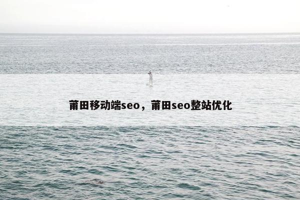 莆田移动端seo，莆田seo整站优化